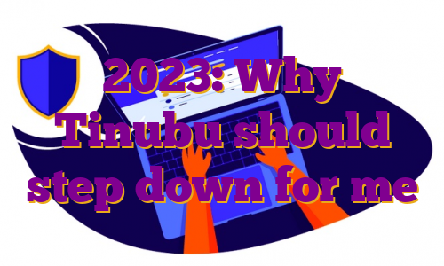2023: Why Tinubu should step down for me