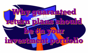 Why guaranteed return plans should be on your investment portfolio