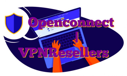 نصب Openconnect ویندوز | VPNResellers